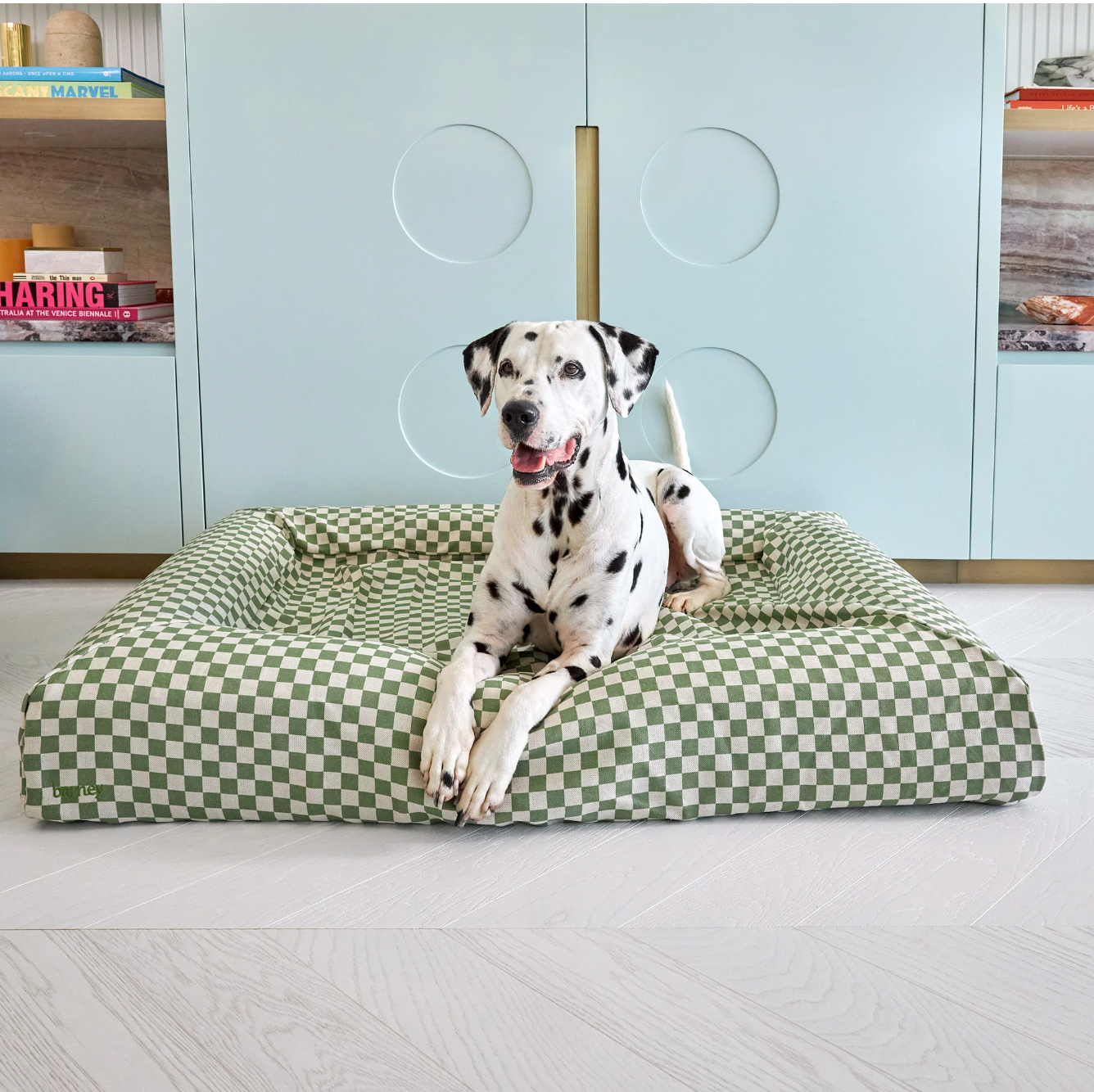STYLEHAWK: Top 5 Stylish Dog Beds