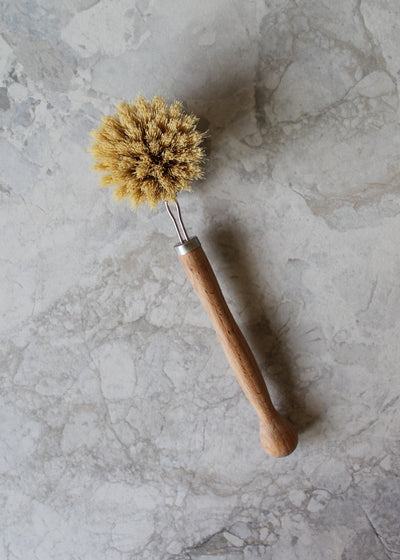 Dish Brush